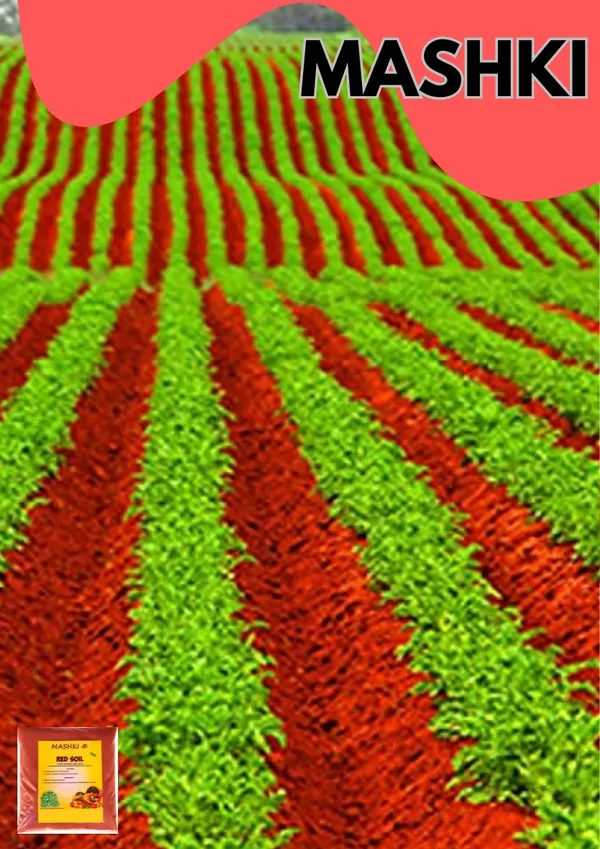 MASHKI_100%_Natural_Red_Soil_-_Organic_Planting_Mix_for_Pots,_Terrace_Gardening,_Lawns_&_Indoor_Plants