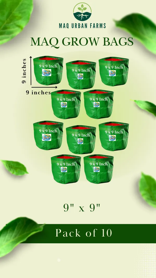 10"x10"_UV_Grow_Bags_-_Ideal_for_Compact_Gardening_Suitable_for_Small_Plants