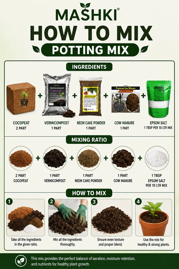 Mashki®_Beginner’s_Grow_Kit_–_Complete_Home_Gardening_Set_with_Grow_Bags,_Cocopeat,_Vermicompost_&_Organic_Nutrients