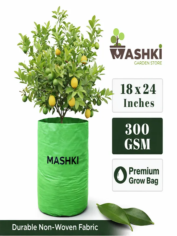 MASHKI®_18x24_Inch_Extra_Deep_Grow_Bag_for_Guava,_Dwarf_Mango_&_Fruit_Plants_|_300__GSM_Heavy_Duty_HDPE_|_Long_Life_UV_Stabilized_Tree_Planter_for_Terrace_&_Garden_(2,_20x30_Inches,_400_GSM)