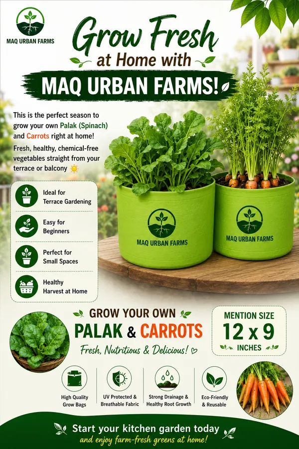 MAQ_12"x9"_Breathable_Fabric_UV_Protection_Grow_Bags_For_Terrace_Gardening_-_240_Gsm,_Specially_Designed_For_Growing_Carrot,_Radish,_Spinach,_Mint,_Coriander,_Fenugreek,_And_More
