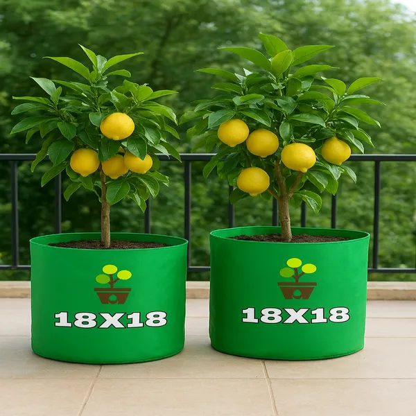 Maq_18x18_inch_300_GSM_UV-Protected_Heavy_Duty_Grow_Bag_for_Large_Fruit_Trees_&_Big_Plants
