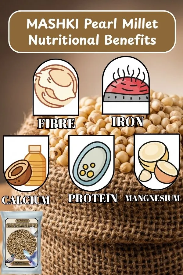 MASHKI_Pearl_Millet_(Bajra/Kambu)_–_Premium_Bird_Food_for_Adults_&_Young_Birds_|_Save_Our_Pigeons_–_Feed_With_Care
