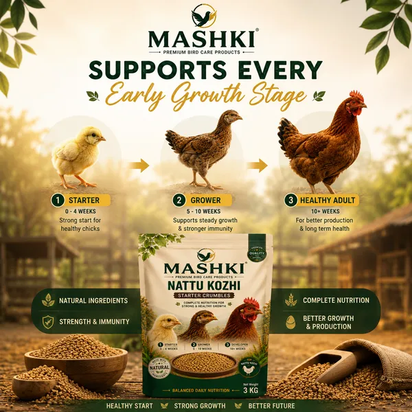 MASHKI_Premium_Nutrition_Murgi_Ka_Khana_Food