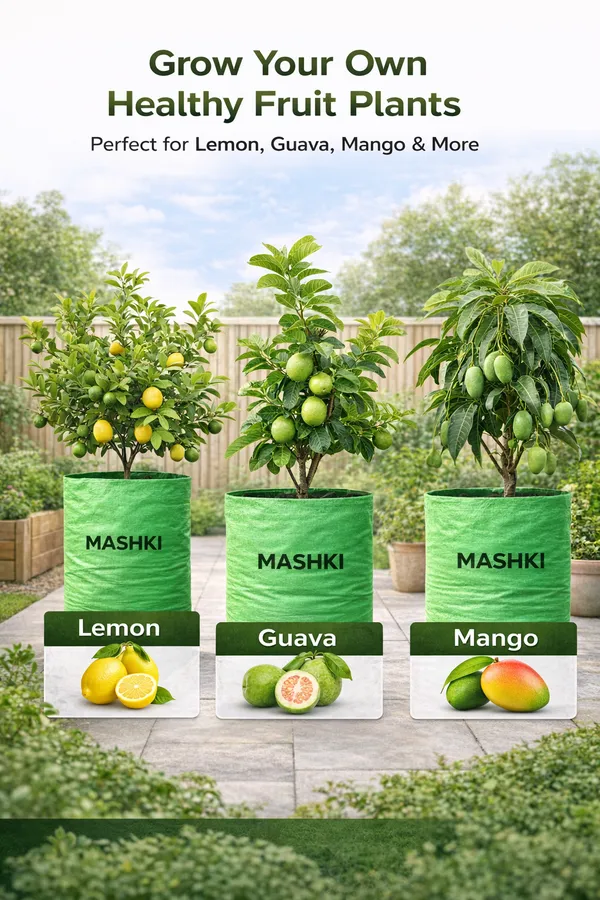 MASHKI®_18x24_Inch_Extra_Deep_Grow_Bag_for_Guava,_Dwarf_Mango_&_Fruit_Plants_|_300__GSM_Heavy_Duty_HDPE_|_Long_Life_UV_Stabilized_Tree_Planter_for_Terrace_&_Garden_(2,_20x30_Inches,_400_GSM)