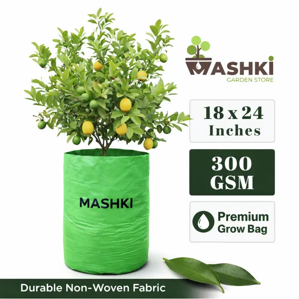 MASHKI®_18x24_Inch_Extra_Deep_Grow_Bag_for_Guava,_Dwarf_Mango_&_Fruit_Plants_|_300__GSM_Heavy_Duty_HDPE_|_Long_Life_UV_Stabilized_Tree_Planter_for_Terrace_&_Garden_(2,_20x30_Inches,_400_GSM)