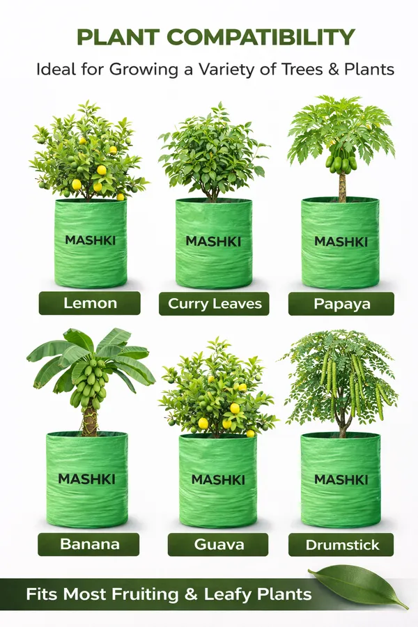 MASHKI®_18x24_Inch_Extra_Deep_Grow_Bag_for_Guava,_Dwarf_Mango_&_Fruit_Plants_|_300__GSM_Heavy_Duty_HDPE_|_Long_Life_UV_Stabilized_Tree_Planter_for_Terrace_&_Garden_(2,_20x30_Inches,_400_GSM)