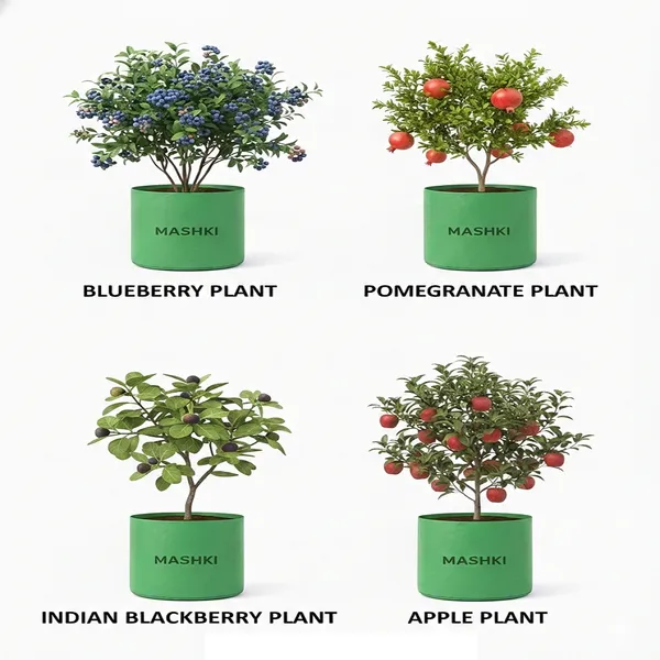 MASHKI®_18x24_Inch_Extra_Deep_Grow_Bag_for_Guava,_Dwarf_Mango_&_Fruit_Plants_|_300__GSM_Heavy_Duty_HDPE_|_Long_Life_UV_Stabilized_Tree_Planter_for_Terrace_&_Garden_(2,_20x30_Inches,_400_GSM)
