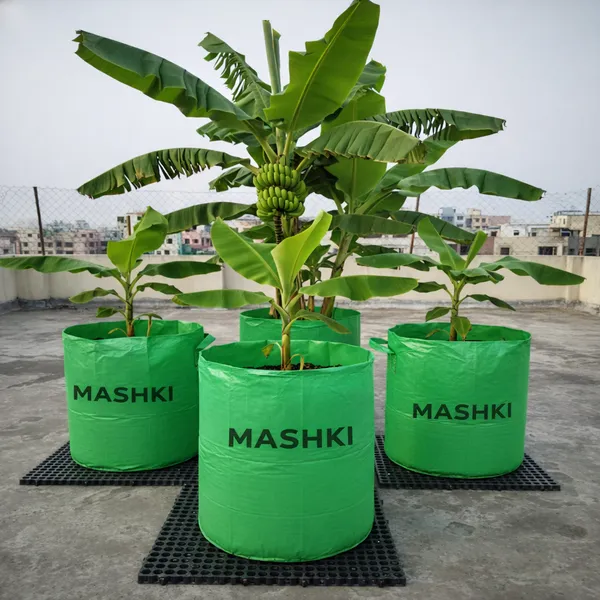 MASHKI®_18x24_Inch_Extra_Deep_Grow_Bag_for_Guava,_Dwarf_Mango_&_Fruit_Plants_|_300__GSM_Heavy_Duty_HDPE_|_Long_Life_UV_Stabilized_Tree_Planter_for_Terrace_&_Garden_(2,_20x30_Inches,_400_GSM)