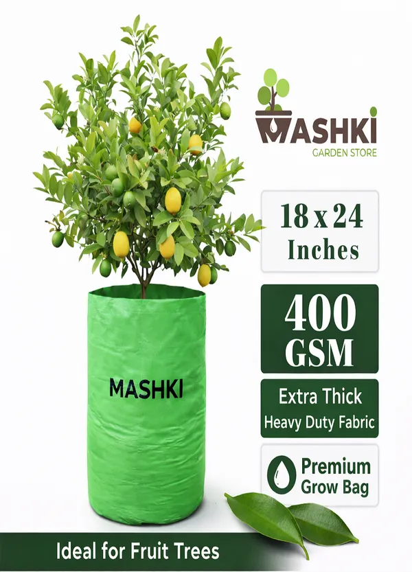 MASHKI®_18x24_Inch_Extra_Deep_Grow_Bag_for_Guava,_Dwarf_Mango_&_Fruit_Plants_|_400__GSM_Heavy_Duty_HDPE_|_Long_Life_UV_Stabilized_Tree_Planter_for_Terrace_&_Garden_(2,_20x30_Inches,_400_GSM)