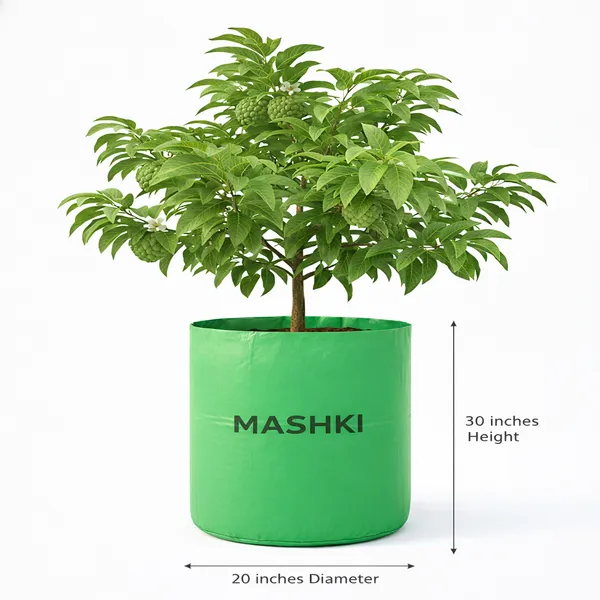 MASHKI®_20x30_Inch_Extra_Deep_Grow_Bag_for_Guava,_Dwarf_Mango_&_Fruit_Plants_|_400_GSM_Heavy_Duty_HDPE_|_Long_Life_UV_Stabilized_Tree_Planter_for_Terrace_&_Garden