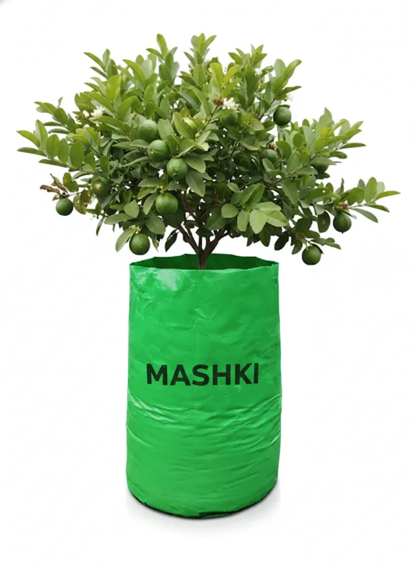 MASHKI®_20x30_Inch_Extra_Deep_Grow_Bag_for_Guava,_Dwarf_Mango_&_Fruit_Plants_|_400_GSM_Heavy_Duty_HDPE_|_Long_Life_UV_Stabilized_Tree_Planter_for_Terrace_&_Garden