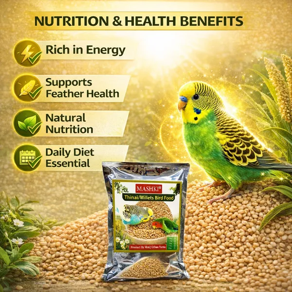 Mashki_Premium_Thinai_Kangni_Seed_-_Double_Cleaned_Korra,_Rala,_Thina,_Kang,_Kaon_Seeds,_Foxtail_Millet,_Koni_Dhaan,_Navane_Nutrition_Bird_Food_For_All_Birds