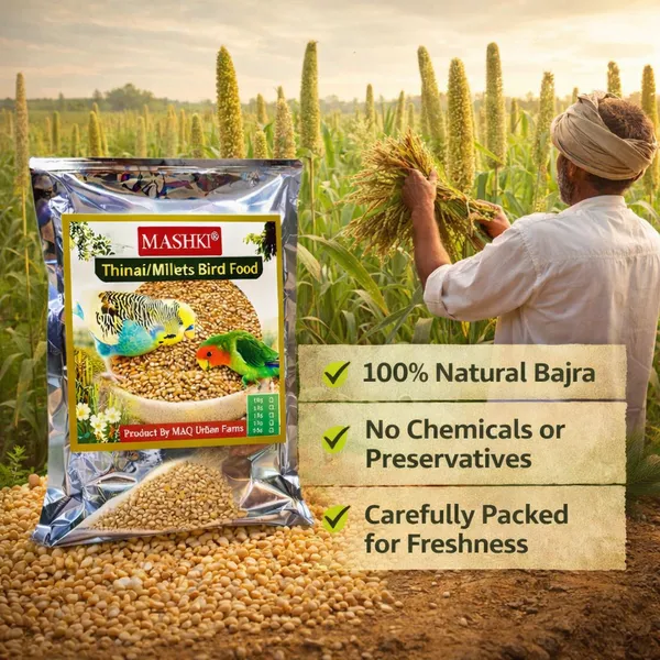 Mashki_Premium_Thinai_Kangni_Seed_-_Double_Cleaned_Korra,_Rala,_Thina,_Kang,_Kaon_Seeds,_Foxtail_Millet,_Koni_Dhaan,_Navane_Nutrition_Bird_Food_For_All_Birds