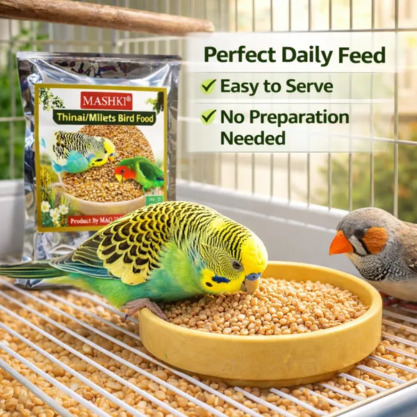 Mashki_Premium_Thinai_Kangni_Seed_-_Double_Cleaned_Korra,_Rala,_Thina,_Kang,_Kaon_Seeds,_Foxtail_Millet,_Koni_Dhaan,_Navane_Nutrition_Bird_Food_For_All_Birds