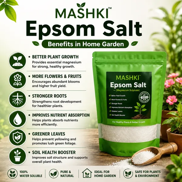 MASHKI_Natural_Epsom_Salt_for_Gardening_|_100%_Organic_Magnesium_Sulfate_Soil_Additive_|_Plant_Fertilizer_for_Lawns,_Roses,_Vegetables_&_Shrubs