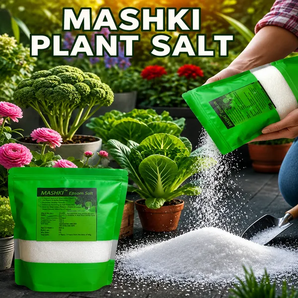 MASHKI_Natural_Epsom_Salt_for_Gardening_|_100%_Organic_Magnesium_Sulfate_Soil_Additive_|_Plant_Fertilizer_for_Lawns,_Roses,_Vegetables_&_Shrubs