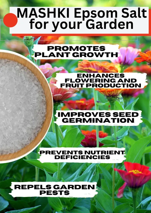 MASHKI_Natural_Epsom_Salt_for_Gardening_|_100%_Organic_Magnesium_Sulfate_Soil_Additive_|_Plant_Fertilizer_for_Lawns,_Roses,_Vegetables_&_Shrubs