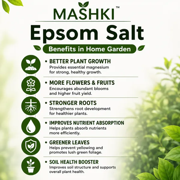 MASHKI_Natural_Epsom_Salt_for_Gardening_|_100%_Organic_Magnesium_Sulfate_Soil_Additive_|_Plant_Fertilizer_for_Lawns,_Roses,_Vegetables_&_Shrubs