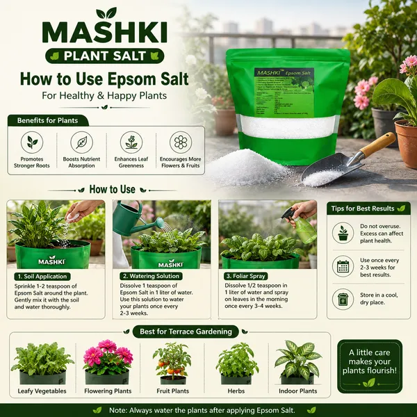 MASHKI_Natural_Epsom_Salt_for_Gardening_|_100%_Organic_Magnesium_Sulfate_Soil_Additive_|_Plant_Fertilizer_for_Lawns,_Roses,_Vegetables_&_Shrubs