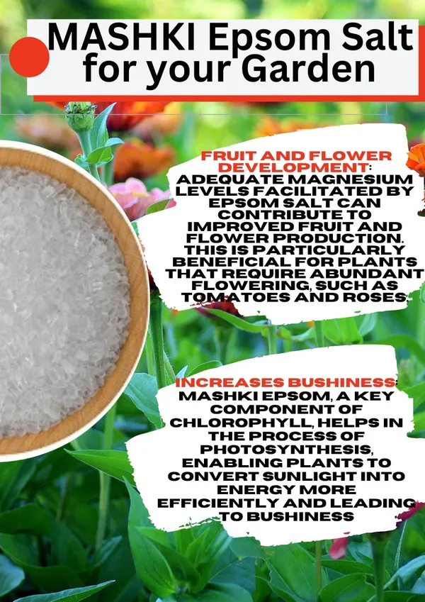MASHKI_Natural_Epsom_Salt_for_Gardening_|_100%_Organic_Magnesium_Sulfate_Soil_Additive_|_Plant_Fertilizer_for_Lawns,_Roses,_Vegetables_&_Shrubs
