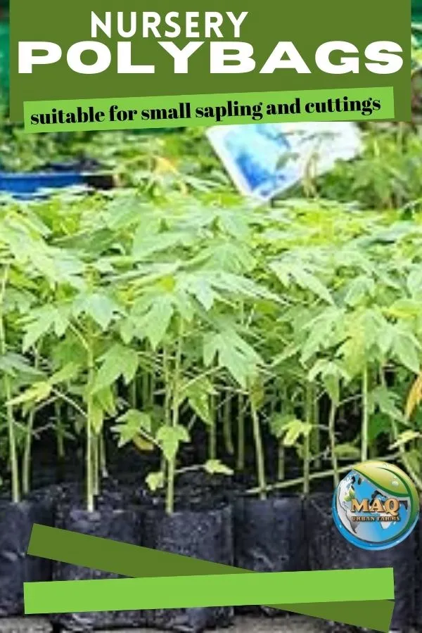 Nursery_Poly_Grow_Bags_–_Gardening_Bags_for_Seeds,_Saplings_&_Small_Plants
