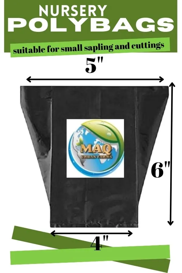 Nursery_Poly_Grow_Bags_–_Gardening_Bags_for_Seeds,_Saplings_&_Small_Plants