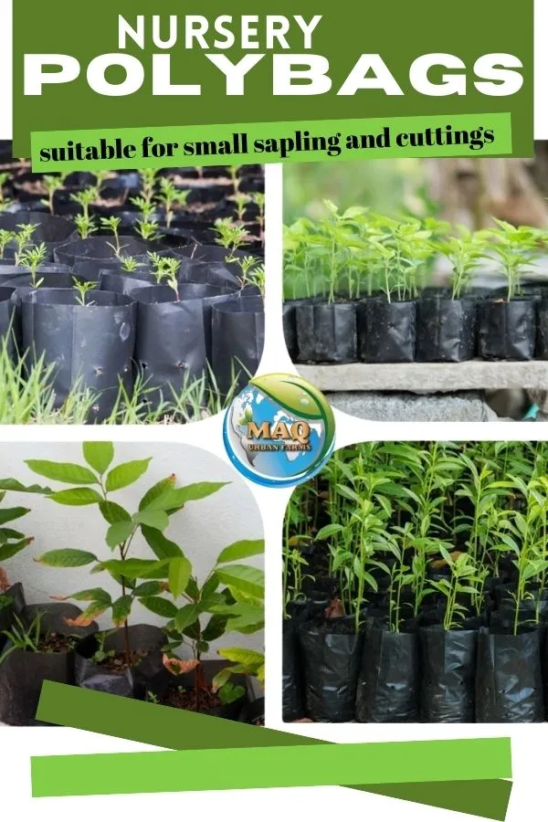 Nursery_Poly_Grow_Bags_–_Gardening_Bags_for_Seeds,_Saplings_&_Small_Plants