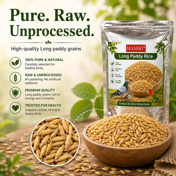 Premium_Long_Paddy_Bird_Food_|_Natural_Healthy_Grain_Feed_for_Pigeons,_Parrots_&_Pet_Birds
