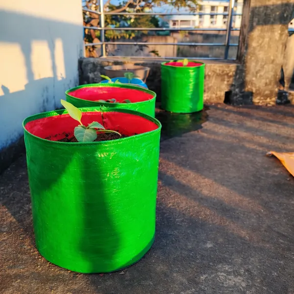MASHKI_12x12_Inch_HDPE_Grow_Bags_for_Terrace_Gardening_–_UV_Stabilized_Plant_Bags_for_Vegetables_&_Flowers_(Green)