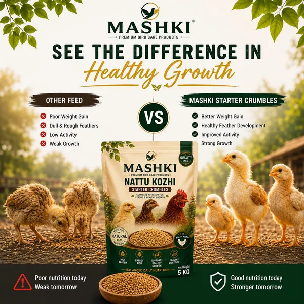 MASHKI_Premium_Nutrition_Murgi_Ka_Khana_Food