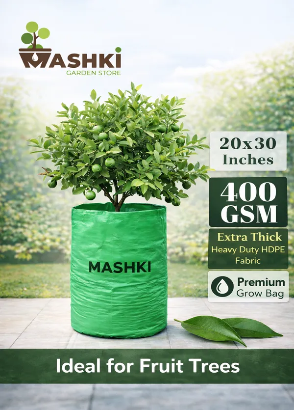 MASHKI®_20x30_Inch_Extra_Deep_Grow_Bag_for_Guava,_Dwarf_Mango_&_Fruit_Plants_|_400_GSM_Heavy_Duty_HDPE_|_Long_Life_UV_Stabilized_Tree_Planter_for_Terrace_&_Garden