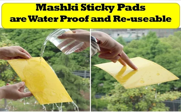 Sticky_Pest_Control_Pads_for_Plants_|_Chemical-Free_Insect_Trap_for_Garden,_Balcony_&_Indoor_Use