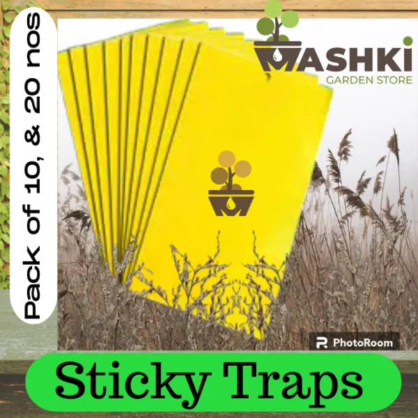 Sticky_Pest_Control_Pads_for_Plants_|_Chemical-Free_Insect_Trap_for_Garden,_Balcony_&_Indoor_Use
