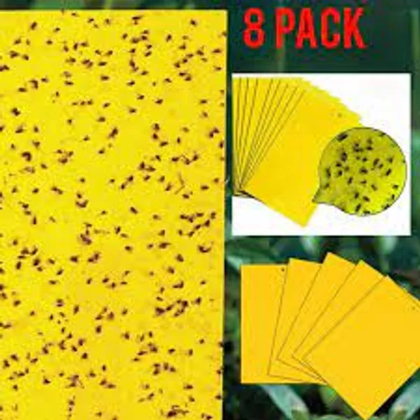 Sticky_Pest_Control_Pads_for_Plants_|_Chemical-Free_Insect_Trap_for_Garden,_Balcony_&_Indoor_Use