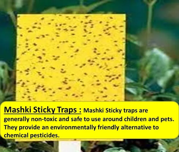 Sticky_Pest_Control_Pads_for_Plants_|_Chemical-Free_Insect_Trap_for_Garden,_Balcony_&_Indoor_Use