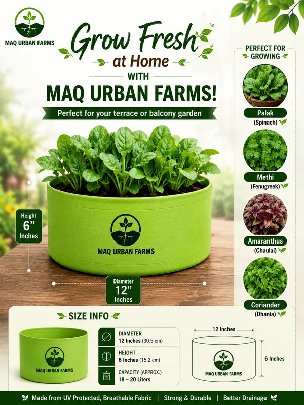 MAQ_12x6_Inches_Grow_Bags_For_Terrace_Gardening_-_240_Gsm,_Specially_Designed_For_Growing_Carrot,_Radish,_Spinach,_Mint,_Coriander,_Fenugreek,_And_More
