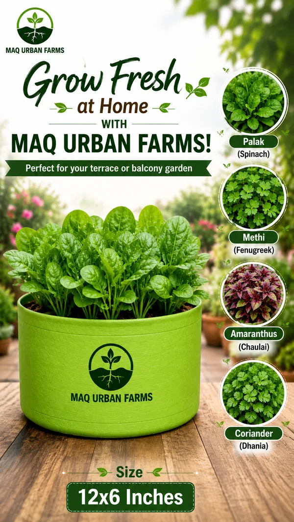 MAQ_12x6_Inches_Grow_Bags_For_Terrace_Gardening_-_240_Gsm,_Specially_Designed_For_Growing_Carrot,_Radish,_Spinach,_Mint,_Coriander,_Fenugreek,_And_More