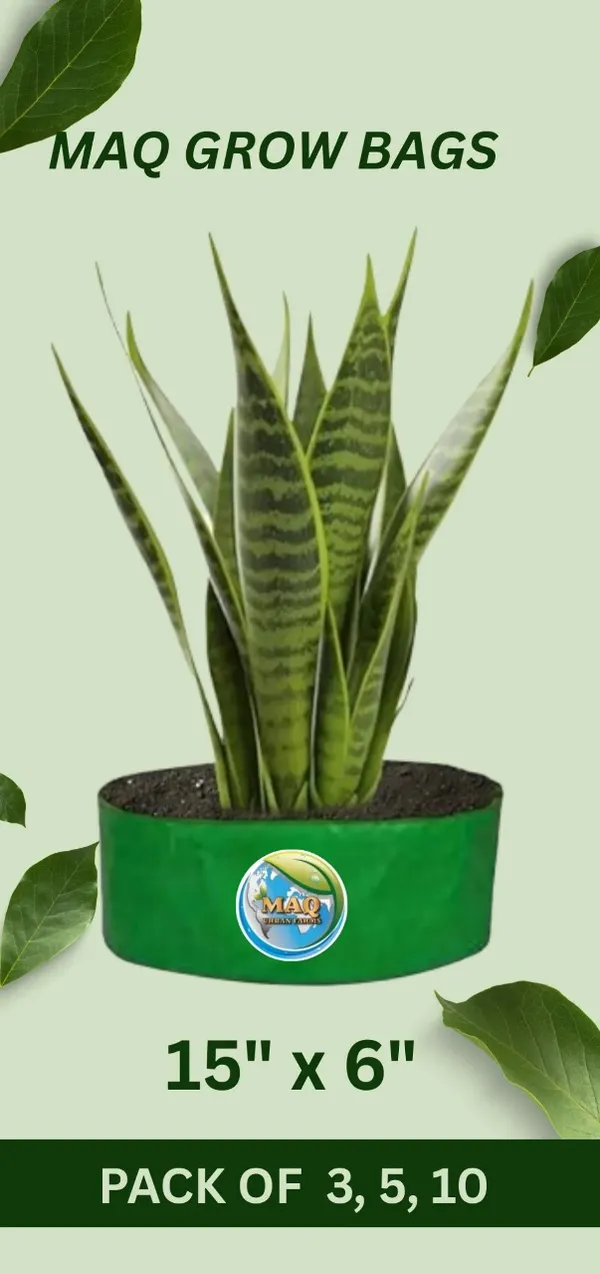 15"_x_6"_Easy_Greens_&_Spinach_Gardening_with_Large,_Reusable,_and_Affordable_Grow_Bags_(Balcony_&_Indoor)