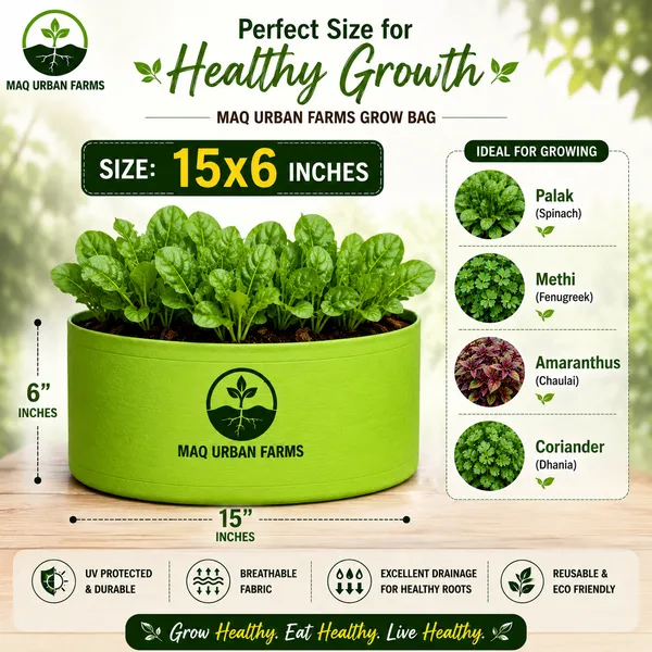 MAQ_12x9_Grow_Bags_For_Terrace_Gardening_-_240_Gsm,_Specially_Designed_For_Growing_Carrot,_Radish,_Spinach,_Mint,_Coriander,_Fenugreek,_And_More