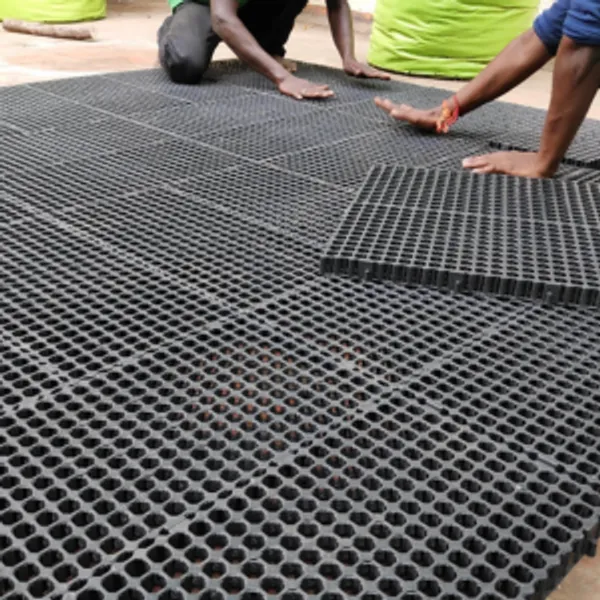 Black_20_Mm_Drain_Cell-_Drain_Mat_For_Home_Garden-_High_Thickness_And_Durability_To_Keep_Neat_And_Clean_Terrace