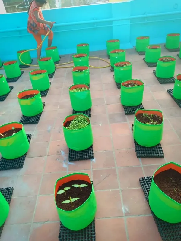Black_20_Mm_Drain_Cell-_Drain_Mat_For_Home_Garden-_High_Thickness_And_Durability_To_Keep_Neat_And_Clean_Terrace