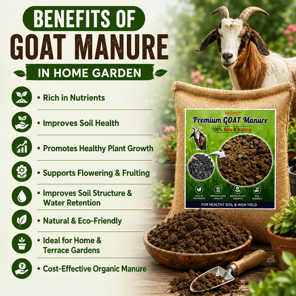 MASHKI_Premium_Goat_Manure_Fertilizer_-_3X_More_Nitrogen_|_100%_Organic_Compost_for_Home_Plants_&_Gardens