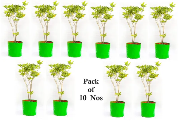 MAQ_18"x18"_Breathable_Fabric_UV_Protection_Grow_Bags_For_Big_Plants-_240_GSM_Durable_Grow_Bags_For_Home,_Terrace,_Balcony,_And_Vegetable_Gardening