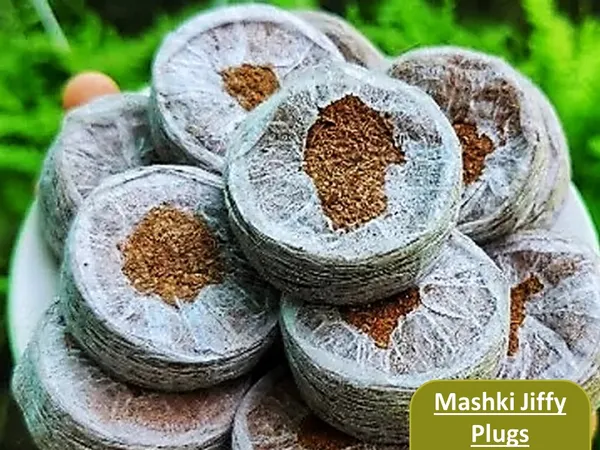 60mm_Cocodisc_(Pack_of_30_Piece)_Coir_Coins_Cocopeat_Pellet_For_Gardening_Indoor_Outdoor_Seedling_Tray,_Coco_Peat_Disc_Suitable_For_Seeds_Germination_&_Rooting_60Mm_Dia_Disc