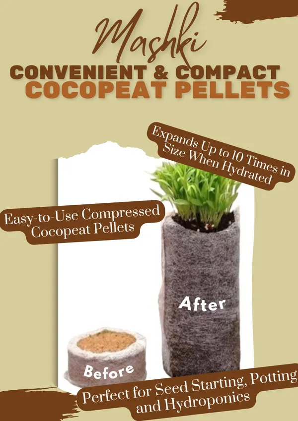 60mm_Cocodisc_(Pack_of_30_Piece)_Coir_Coins_Cocopeat_Pellet_For_Gardening_Indoor_Outdoor_Seedling_Tray,_Coco_Peat_Disc_Suitable_For_Seeds_Germination_&_Rooting_60Mm_Dia_Disc