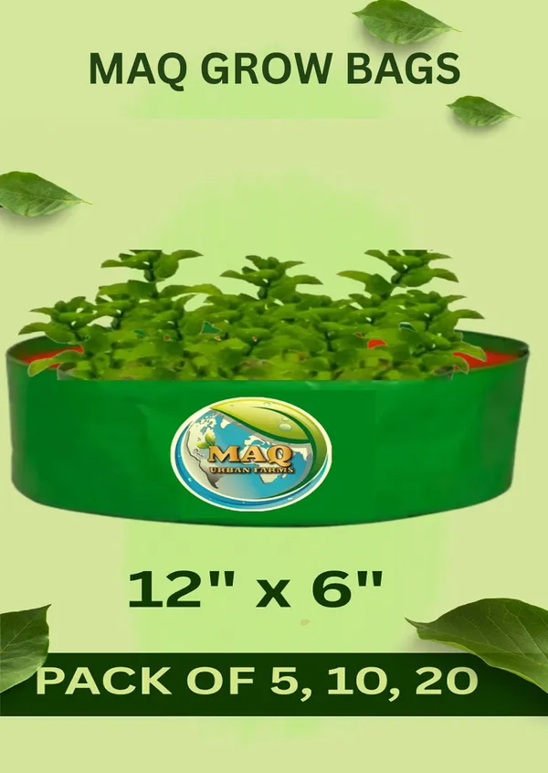 MAQ_12"x6"_Breathable_Fabric_UV_Protection_Grow_Bags_For_Terrace_Gardening_-_240_Gsm,_Specially_Designed_For_Growing_Spinach,_Mint,_Coriander,_Fenugreek,_And_More