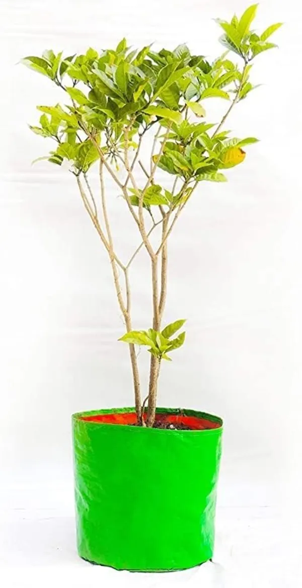 Maq_18"x18"_300gsm_UV_Treated_Affordable_Large_Reusable_Grow_Bags_for_Balcony_&_Outdoor_Plants