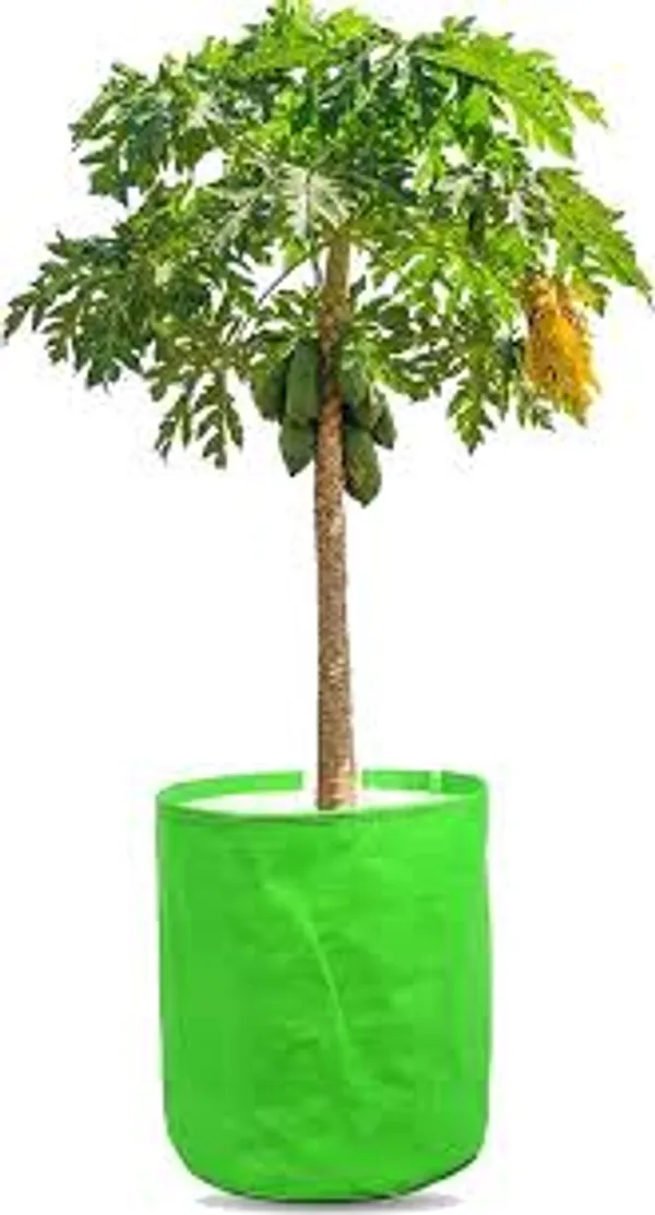 Maq_18"x18"_300gsm_UV_Treated_Affordable_Large_Reusable_Grow_Bags_for_Balcony_&_Outdoor_Plants
