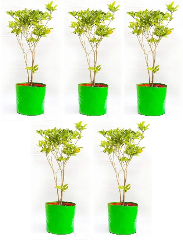 Maq_18"x18"_300gsm_UV_Treated_Affordable_Large_Reusable_Grow_Bags_for_Balcony_&_Outdoor_Plants